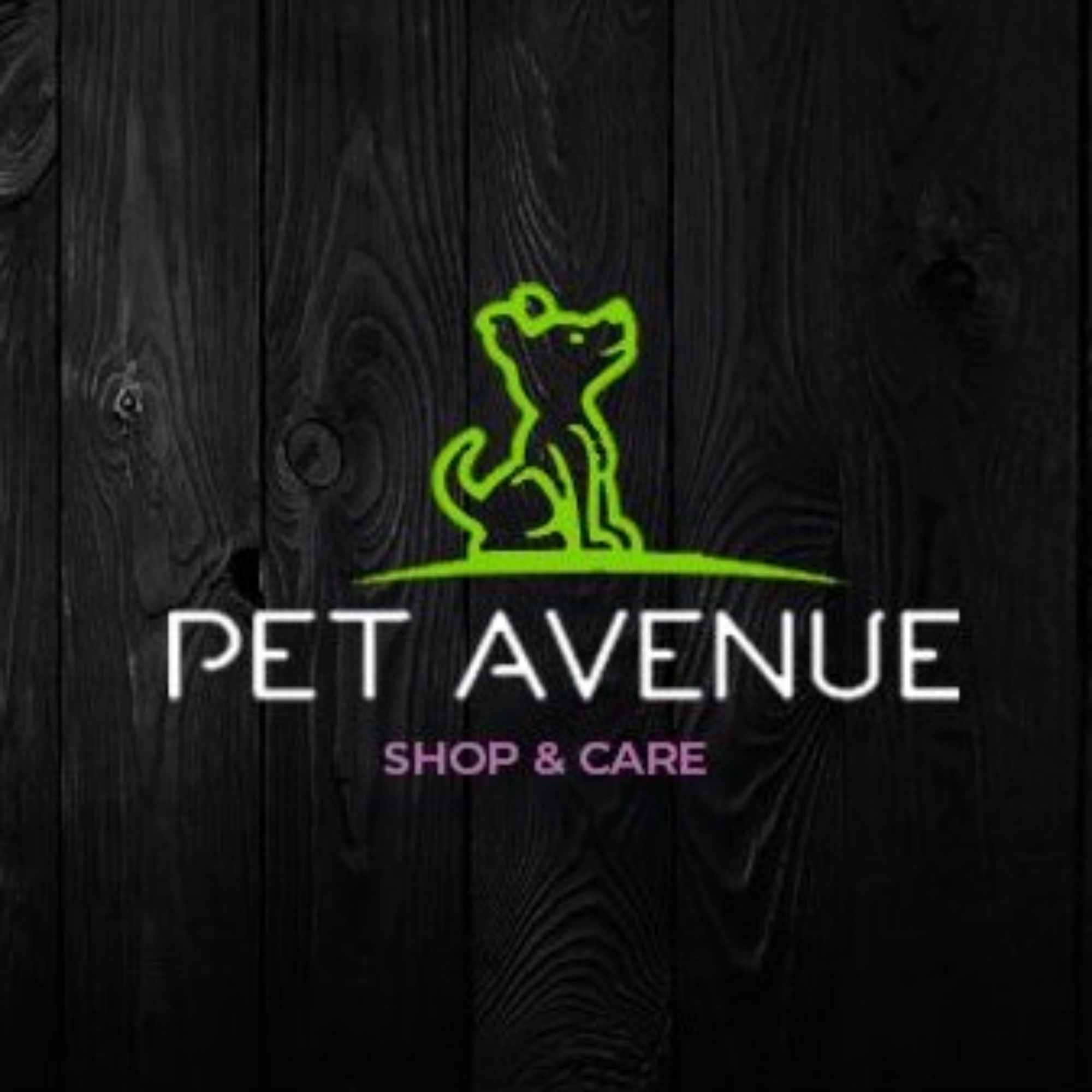 artes-min - copia (2)