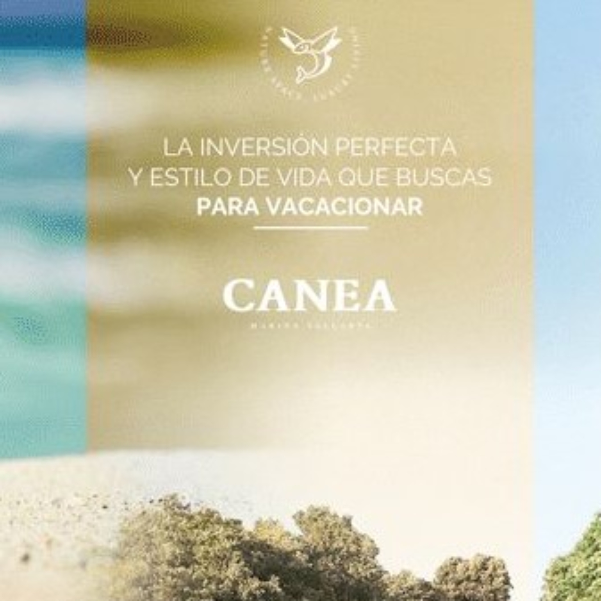 artes-min - copia - copia